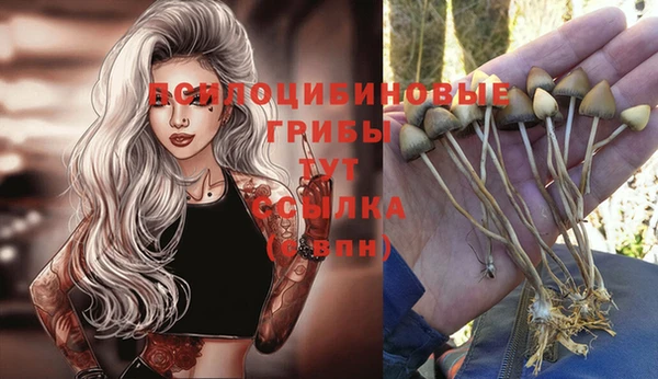 a pvp Медвежьегорск