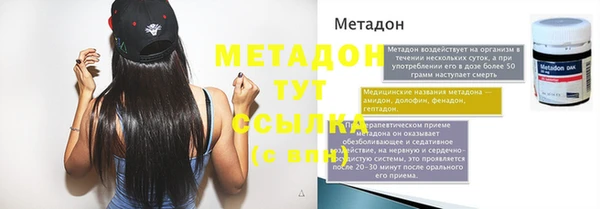 шишки Приозерск