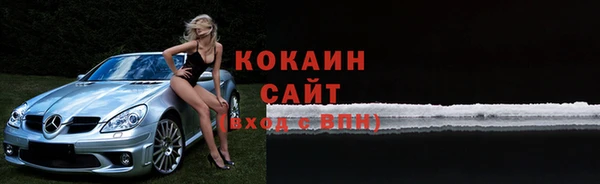 шишки Приозерск