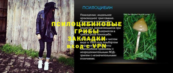 спиды Мегион