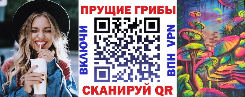 Псилоцибиновые грибы GOLDEN TEACHER купить сайты Среднеколымск